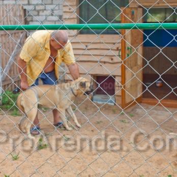 Агро усадьба - гостиница вблизи Минска с содержанием домашних животных в отсутствии хозяев