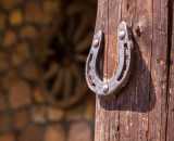 Фотографии интерьера Коттедж №1 Прилесье