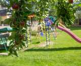 Летние фотографии Усадьба У Серафимыча