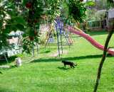 Летние фотографии Усадьба У Серафимыча