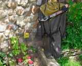 Летние фотографии Беседка У Серафимыча