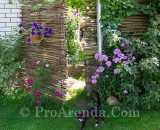 Летние фотографии Усадьба У Серафимыча