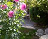 Летние фотографии Усадьба У Серафимыча