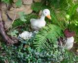 Летние фотографии Усадьба У Серафимыча