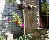 Летние фотографии Беседка У Серафимыча