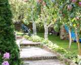 Летние фотографии Беседка У Серафимыча