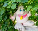 Летние фотографии Усадьба У Серафимыча