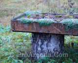 Летние фотографии Коттедж Уютное