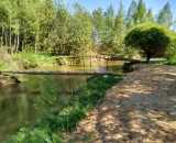 Летние фотографии Банкетная беседка Пряник