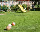 Летние фотографии Беседка У Серафимыча