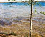 Фотографии территории Агроусадьба На озере Белое