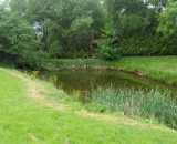 Фотографии территории Усадьба Пигасово