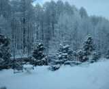 Фотографии территории Баня Теремок в Ельнице