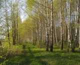 Фотографии территории Коттедж Очей очарованье