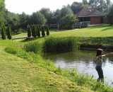 Фотографии территории Усадьба Пигасово