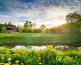 Фотографии территории Усадьба Пигасово