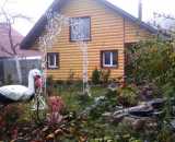 Фотографии территории Баня Теремок в Ельнице