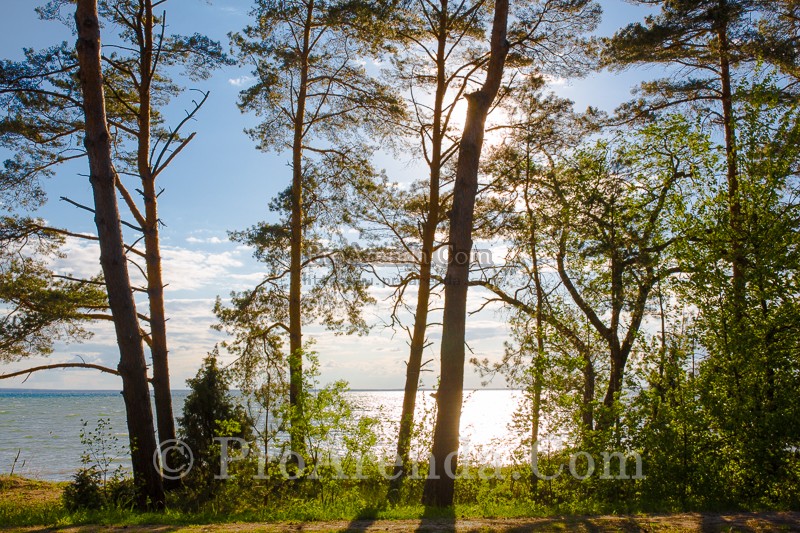 Отдых в Белоруссии на озере Нарочь