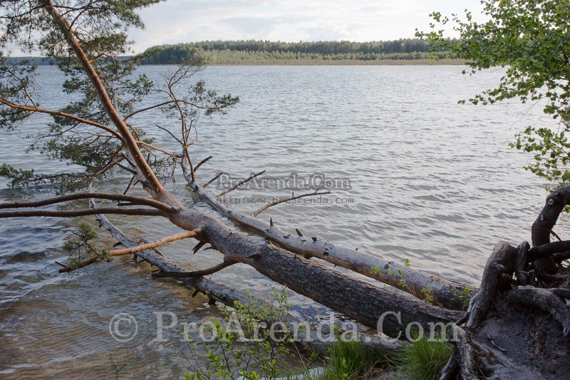 Агроусадьбы с дешёвым отдыхом на Браславских озерах