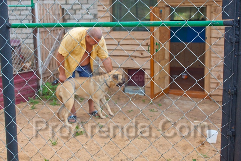 Вольер для собак в усадьбе - гостинице для животных Минского района Иван да Марья