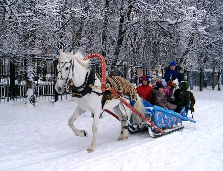 Предлагаем дёшево коттеджи на Новый год 2017